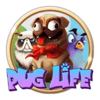 Pug Life